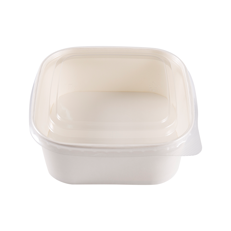 Disposable Biodegradable Square Kraft Salad Bowl