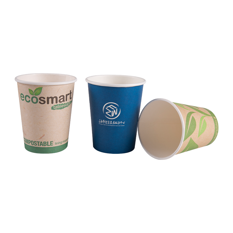 Disposable Biodegradable Single Wall Paper Drink Cup