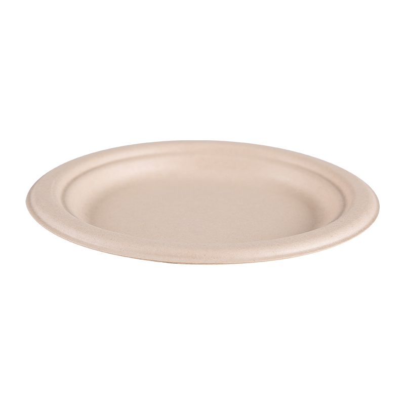 Disposable Biodegradable Waterproof and Greaseproof Paper Plate