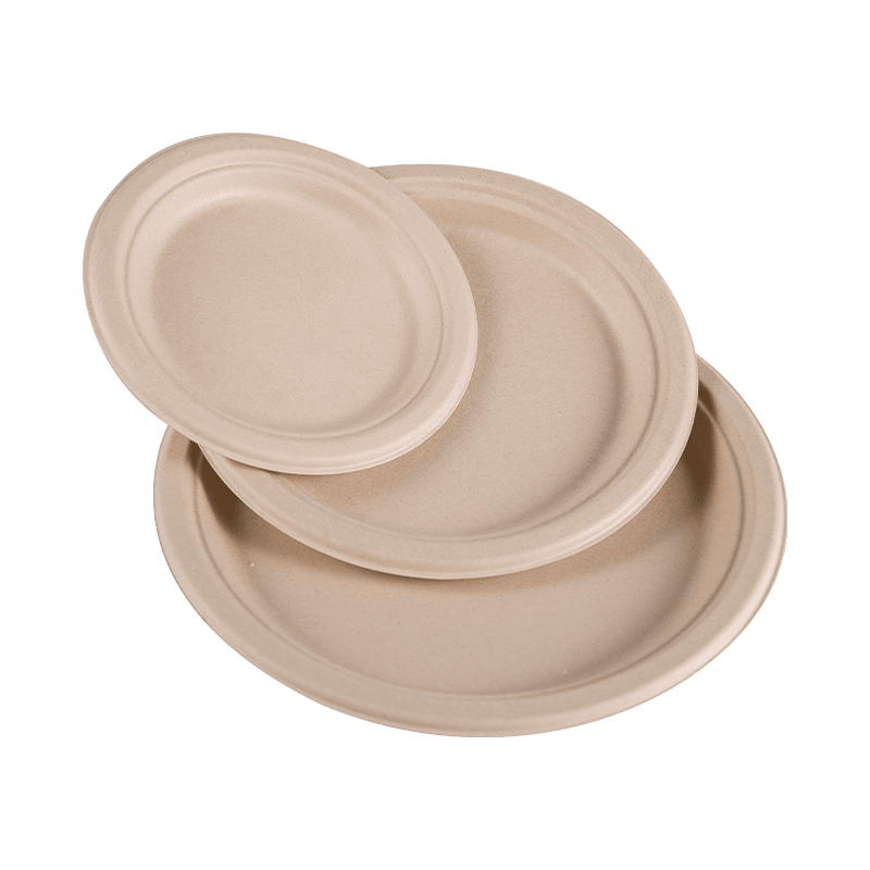 Disposable Biodegradable Waterproof and Greaseproof Paper Plate