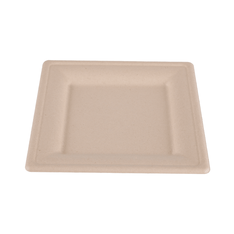 Eco-friendly Party Cake Square Lunch Plate