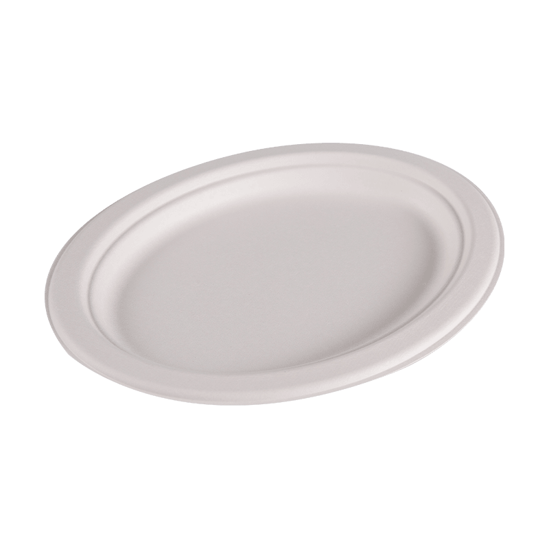 Compostable Disposable Bagasse Round Lunch Plate