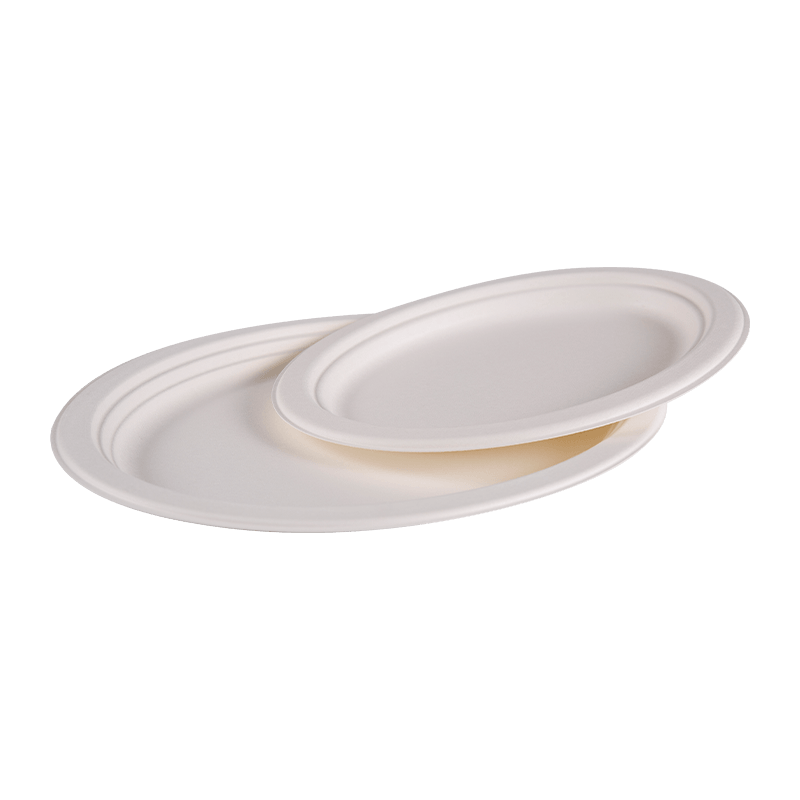 Compostable Disposable Bagasse Round Lunch Plate