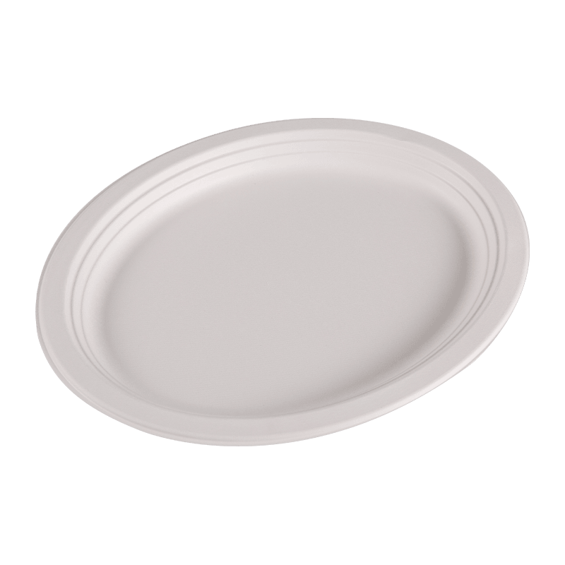 Compostable Disposable Bagasse Round Lunch Plate