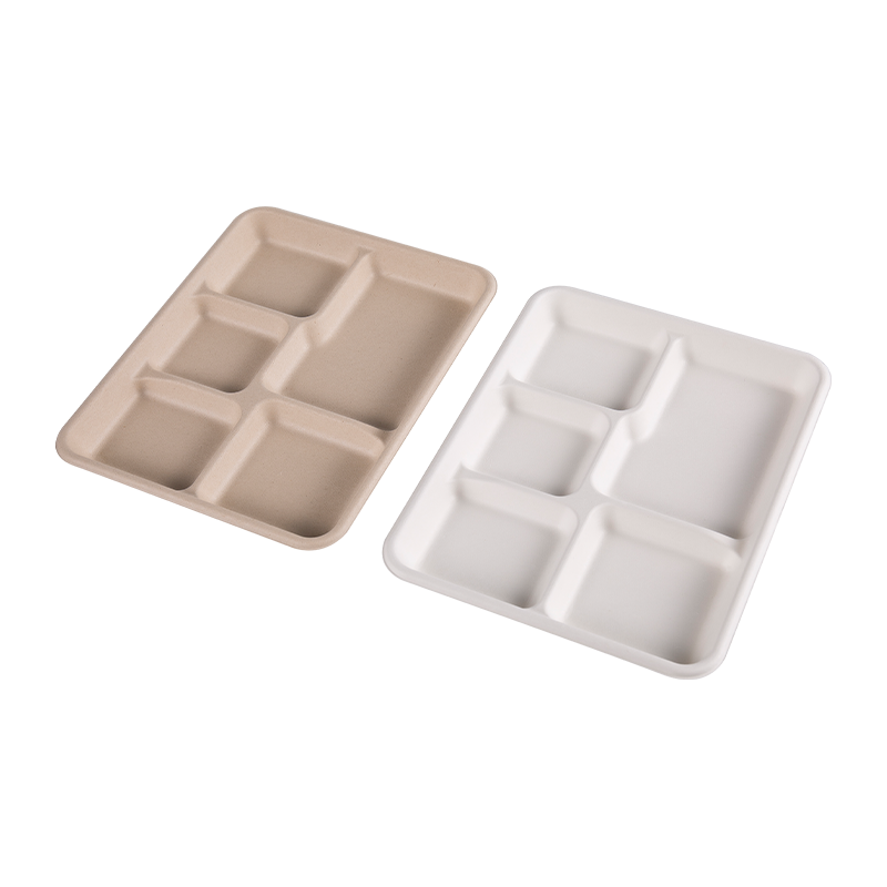 5 Compartment Disposable Paper Tray School Lunch Food Container