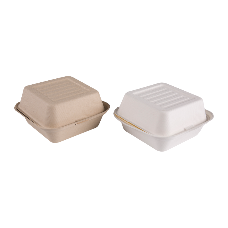 Sugarcane Bagasse Square Takeaway Burger Lunch Container