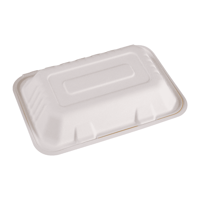 Portable Flip Cover Hinged Disposable Takeout Lunch Boxes